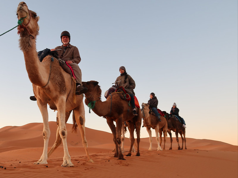 Merzouga Camel Trekking Activities