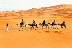 4 days tour from Fes to Merzouga y Marrakech